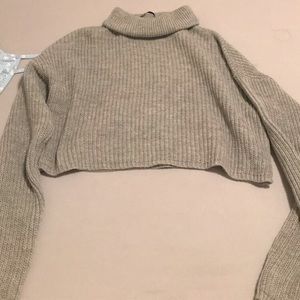 cropped turtle neck